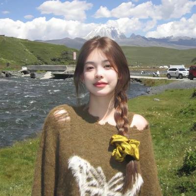 迪兹先生进城