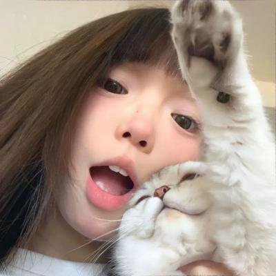 幽灵螳螂